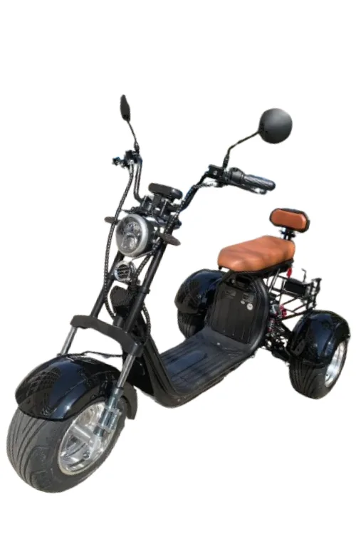 TRICICLO 3000W