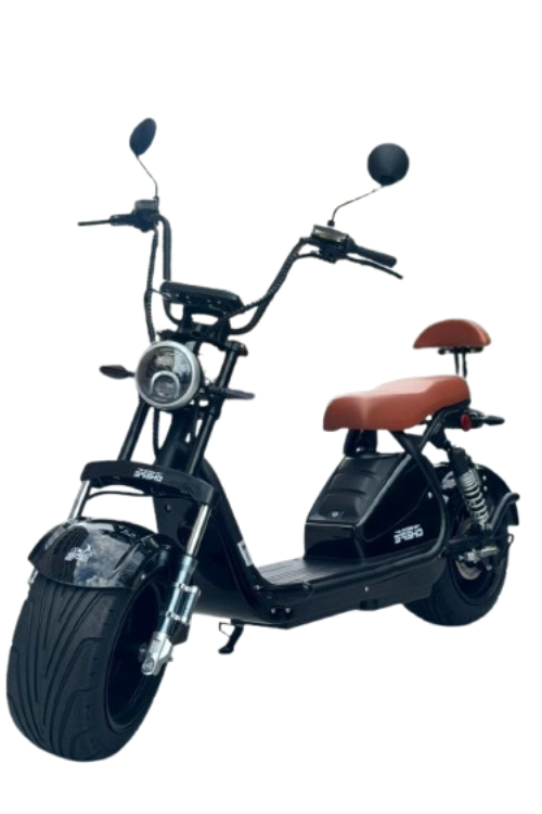 ELECTRIC 3000W PLUS