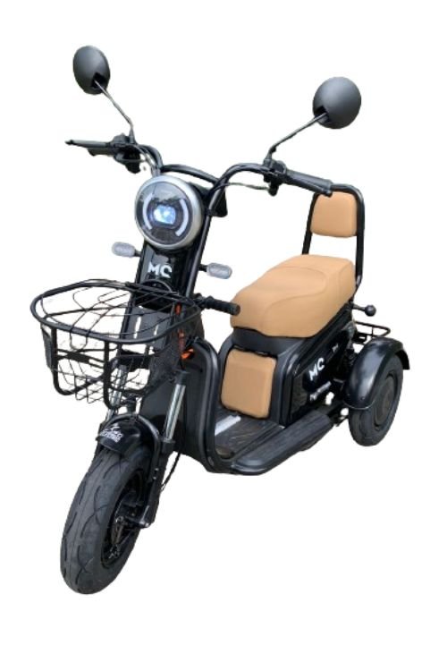 TRICICLO ELÉTRICO 600W