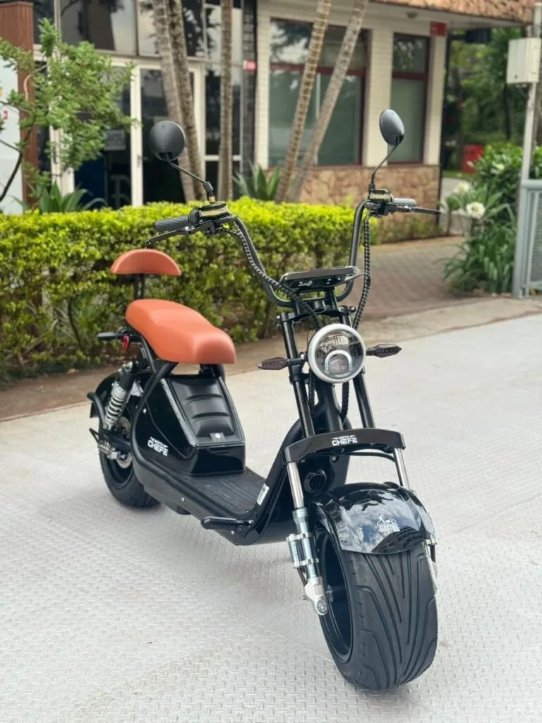 ELECTRIC 3000W PLUS - Miniatura 2