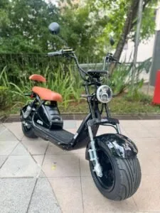 ELECTRIC 3000W PLUS - Miniatura 4