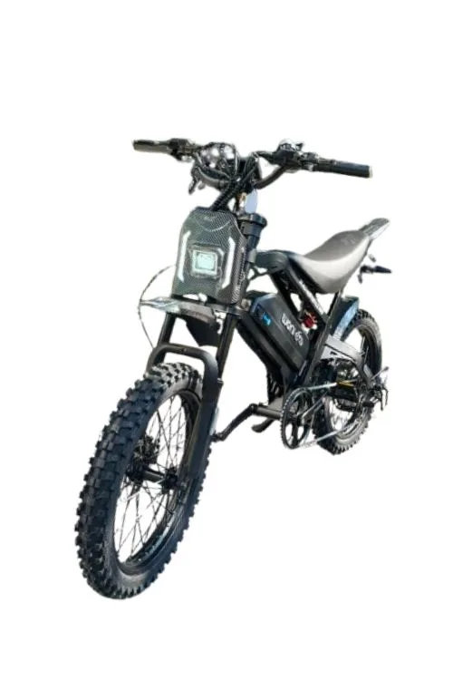 STYLE BIKE 750W