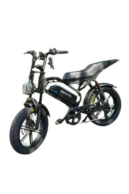 BIKE 1000W