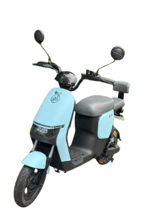 RAPID 1000W