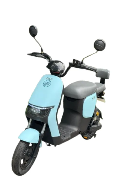 RAPID 1000W