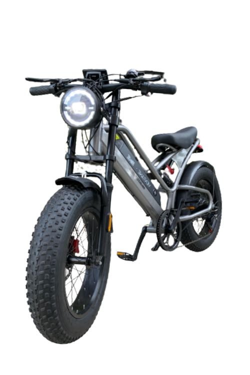 STYLE BIKE 750W