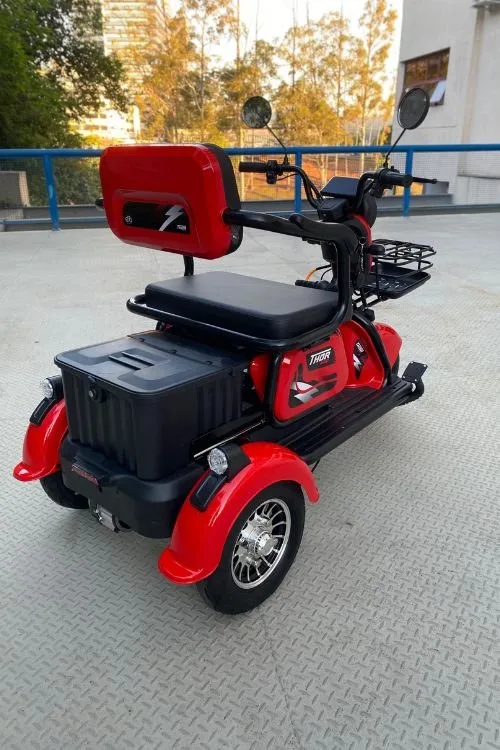 TRICICLO ELÉTRICO TRÊS LUGARES 1000W - Miniatura 3