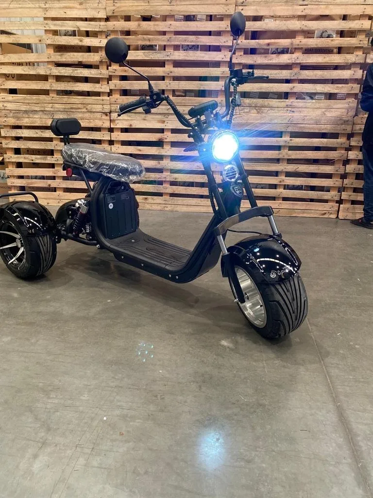 TRICICLO 3000W - Miniatura 2